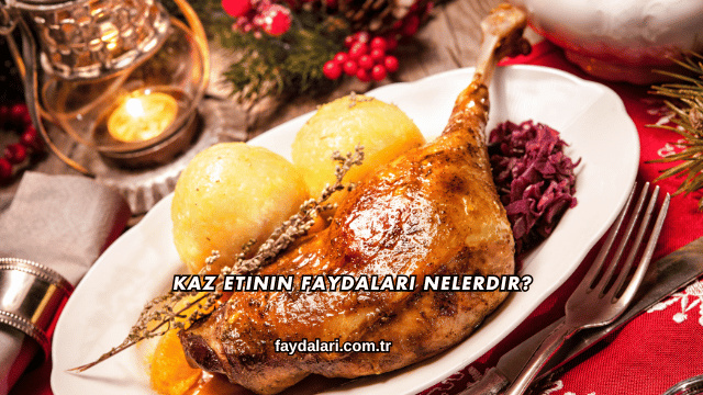 Kaz Etinin Faydaları Nelerdir?