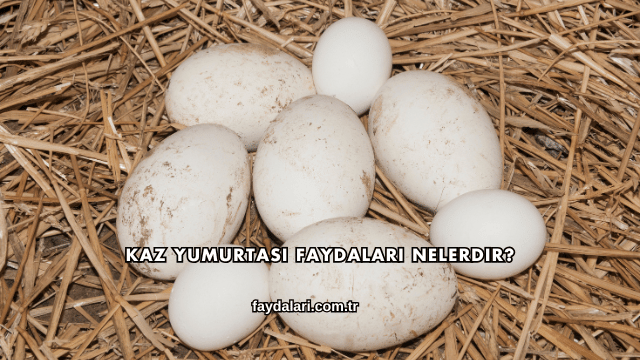 Kaz Yumurtası Faydaları Nelerdir?