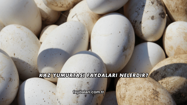 Kaz Yumurtası Faydaları Nelerdir?