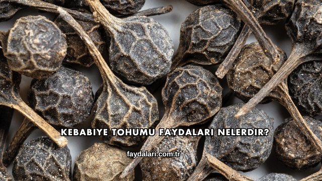 Kebabiye Tohumu Faydaları Nelerdir?