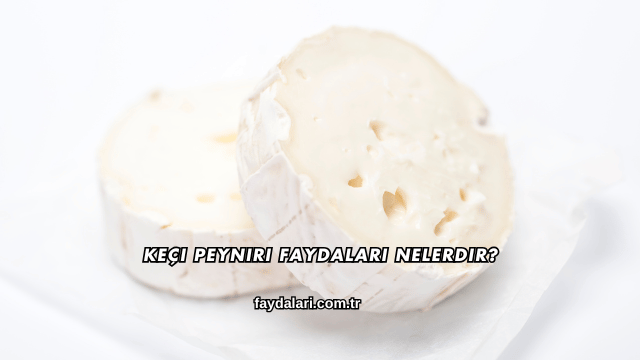 Keçi Peyniri Faydaları Nelerdir?