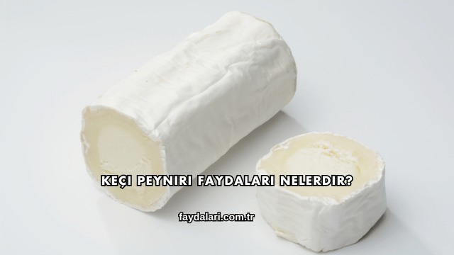 Keçi Peyniri Faydaları Nelerdir?