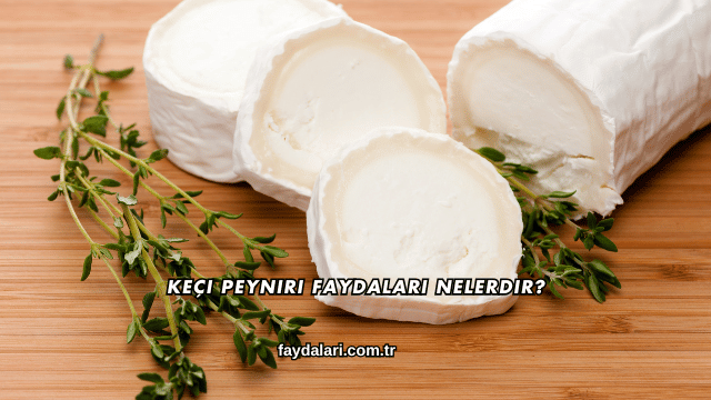 Keçi Peyniri Faydaları Nelerdir?