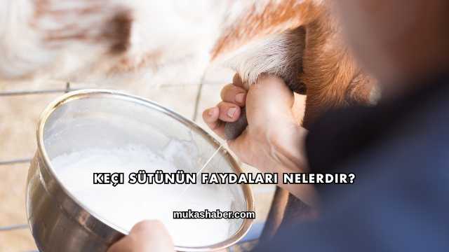 Keçi Sütünün Faydaları Nelerdir?