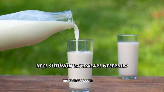 Keçi Sütünün Faydaları Nelerdir?