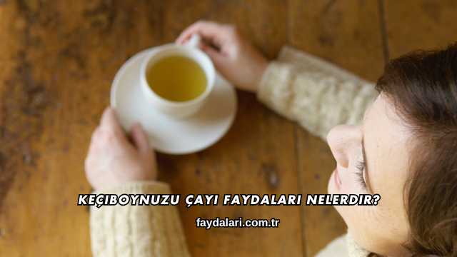 Keçiboynuzu Çayı Faydaları Nelerdir?