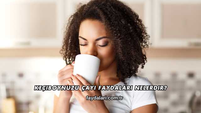 Keçiboynuzu Çayı Faydaları Nelerdir?