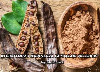 Keçiboynuzu Kadınlara Faydaları Nelerdir?