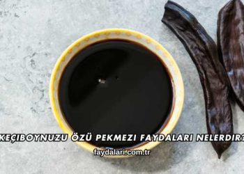 Keçiboynuzu Özü Pekmezi Faydaları Nelerdir?