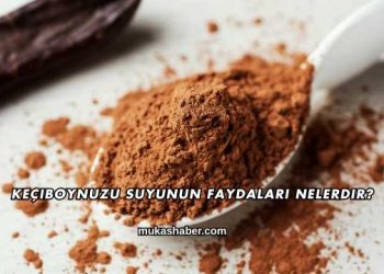 Keçiboynuzu Suyunun Faydaları Nelerdir?