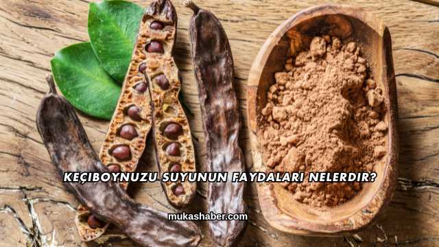 Keçiboynuzu Suyunun Faydaları Nelerdir?