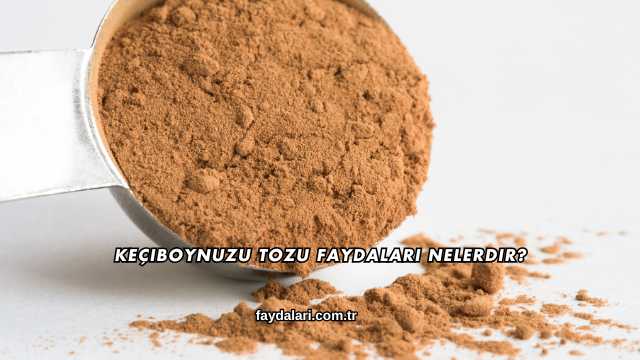 Keçiboynuzu Tozu Faydaları Nelerdir?