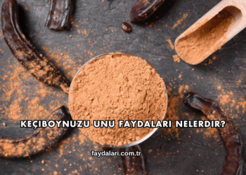 Keçiboynuzu Unu Faydaları Nelerdir?