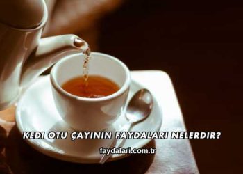 Kedi Otu Çayının Faydaları Nelerdir?