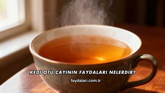 Kedi Otu Çayının Faydaları Nelerdir?