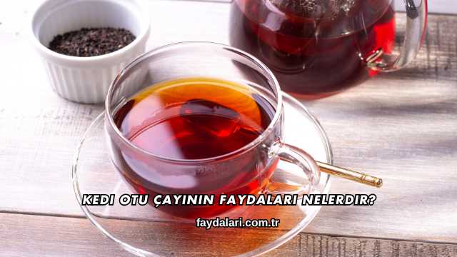 Kedi Otu Çayının Faydaları Nelerdir?