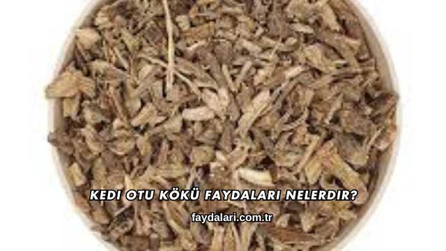 Kedi Otu Kökü Faydaları Nelerdir?