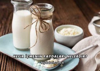 Kefir İçmenin Faydaları Nelerdir?