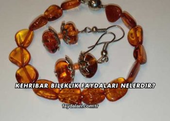 Kehribar Bileklik Faydaları Nelerdir?