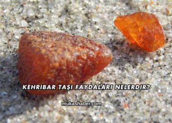 Kehribar Taşı Faydaları Nelerdir?