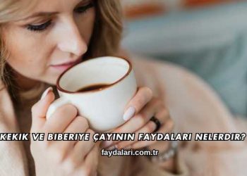 Kekik ve Biberiye Çayının Faydaları Nelerdir?