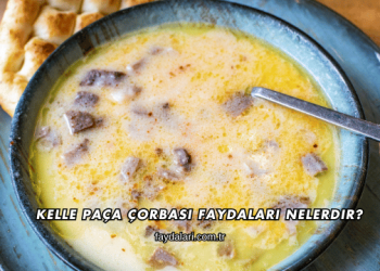 Kelle Paça Çorbası Faydaları Nelerdir?