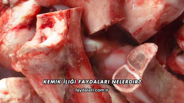 Kemik İliği Faydaları Nelerdir?