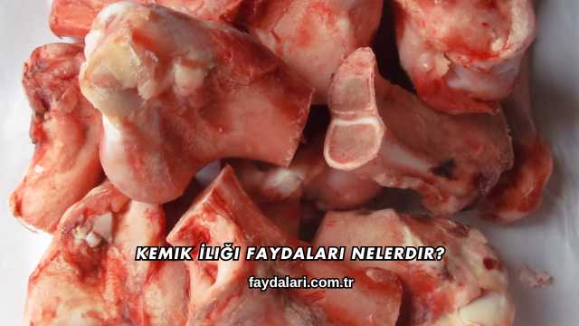 Kemik İliği Faydaları Nelerdir?