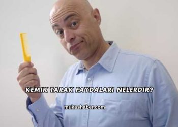 Kemik Tarak Faydaları Nelerdir?