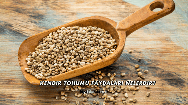 Kendir Tohumu Faydaları Nelerdir?