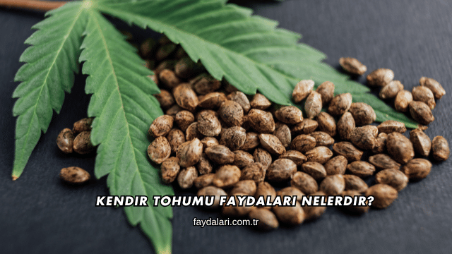 Kendir Tohumu Faydaları Nelerdir?