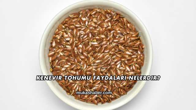 Kenevir Tohumu Faydaları Nelerdir?