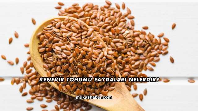 Kenevir Tohumu Faydaları Nelerdir?