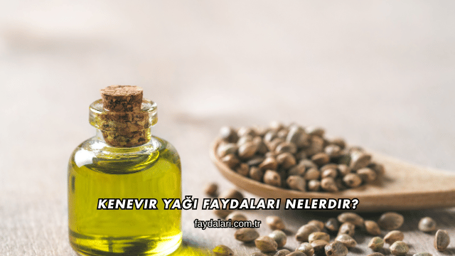 Kenevir Yağı Faydaları Nelerdir?