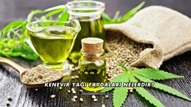 Kenevir Yağı Faydaları Nelerdir?