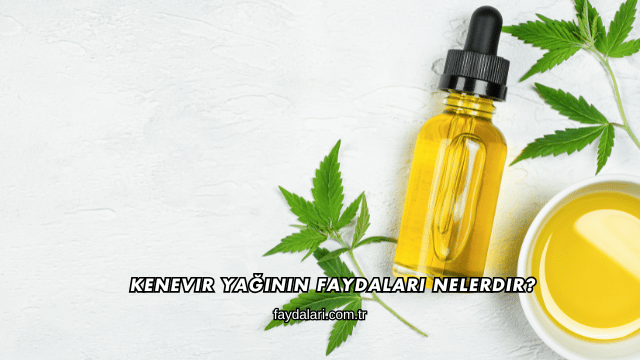 Kenevir Yağının Faydaları Nelerdir?