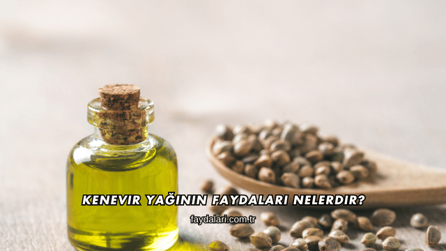 Kenevir Yağının Faydaları Nelerdir?