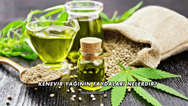 Kenevir Yağının Faydaları Nelerdir?