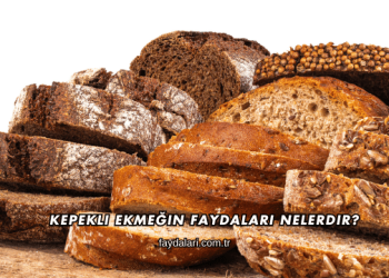 Kepekli Ekmeğin Faydaları Nelerdir