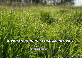 Kepkesen Otunun Faydaları Nelerdir?