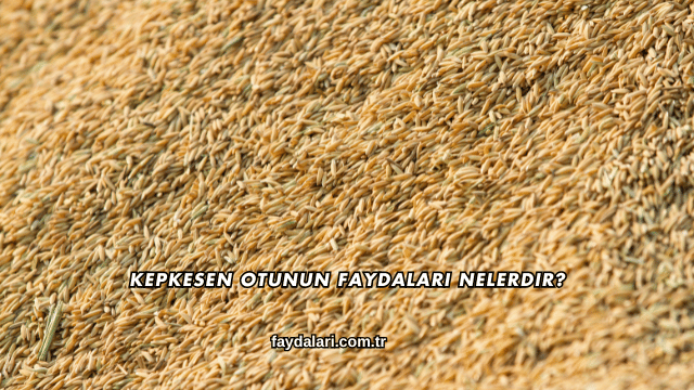 Kepkesen Otunun Faydaları Nelerdir?