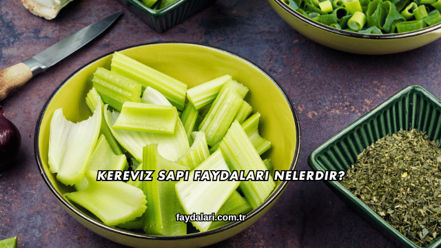 Kereviz Sapı Faydaları Nelerdir?