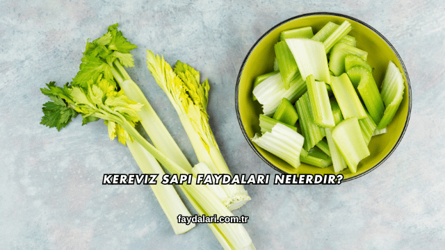 Kereviz Sapı Faydaları Nelerdir?