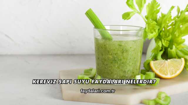 Kereviz Sapı Suyu Faydaları Nelerdir?