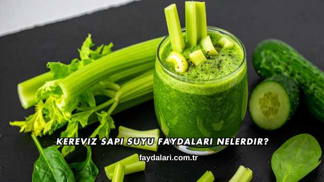 Kereviz Sapı Suyu Faydaları Nelerdir?