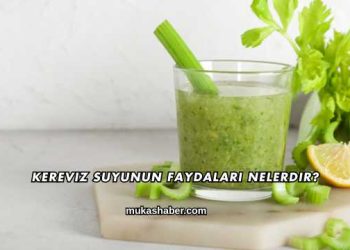 Kereviz Suyunun Faydaları Nelerdir?