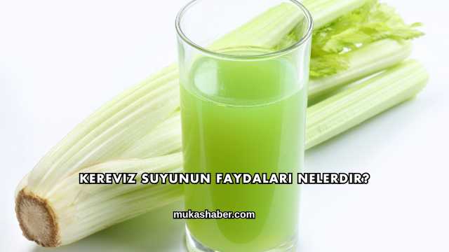 Kereviz Suyunun Faydaları Nelerdir?