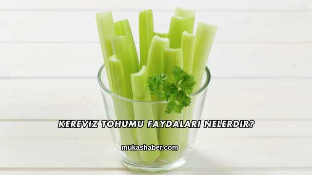 Kereviz Tohumu Faydaları Nelerdir?