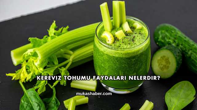 Kereviz Tohumu Faydaları Nelerdir?