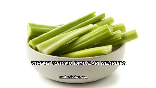 Kereviz Tohumu Faydaları Nelerdir?